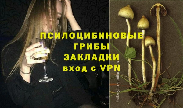 гидропоника Ельня